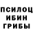 Псилоцибиновые грибы GOLDEN TEACHER Sedoi Cnecnen