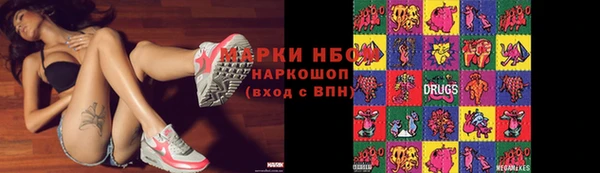 прущие грибы Ладушкин