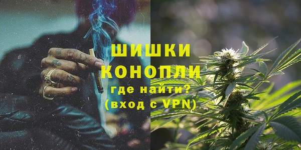 индика Белоозёрский