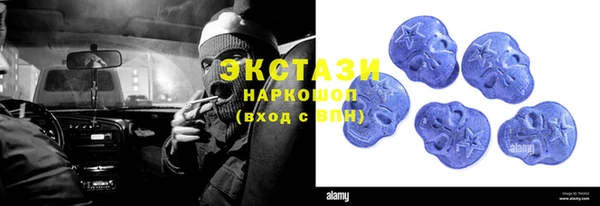 шишки Лабытнанги