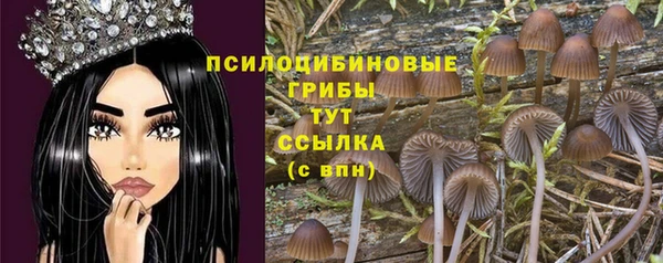 дурь Беломорск