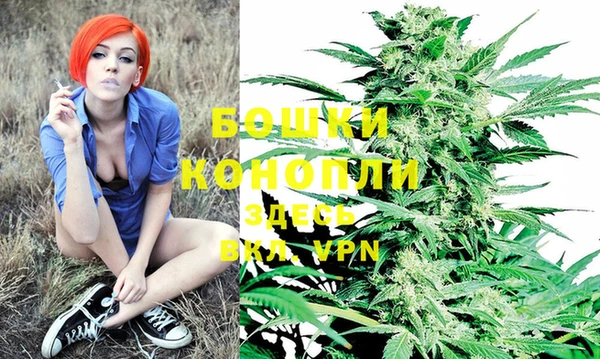 индика Белоозёрский