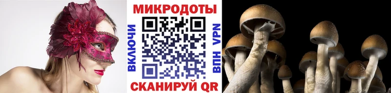 Галлюциногенные грибы Psilocybine cubensis  дарк нет формула  Невьянск 